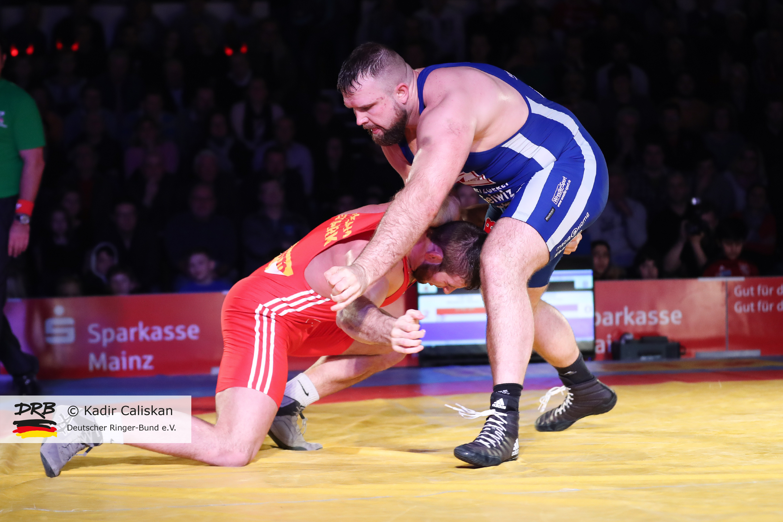 RINGEN – Deutsche Mannschaftsmeisterschaften 2018/19 – ASV Mainz 88 vs. Red Devils Heilbronn