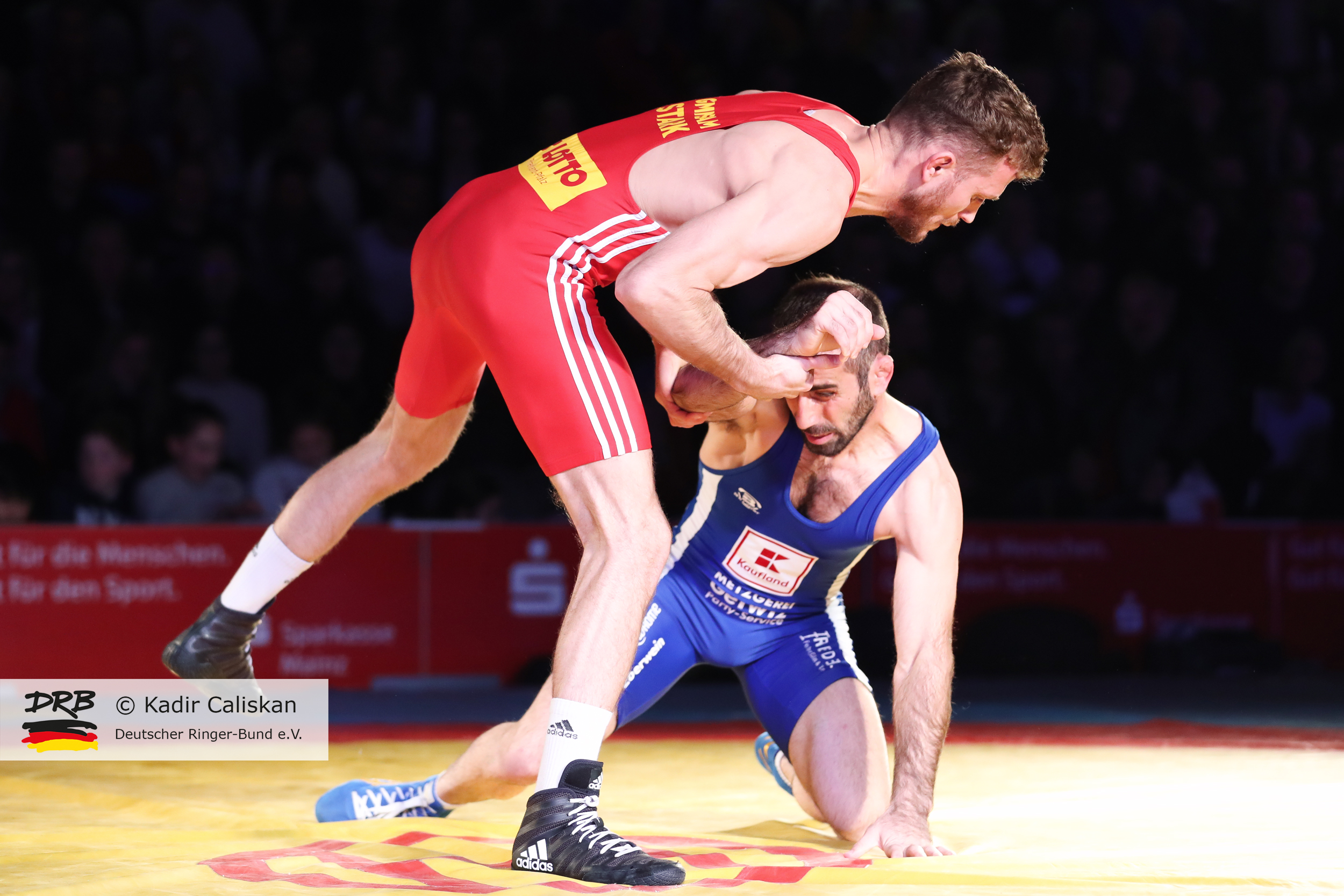 RINGEN – Deutsche Mannschaftsmeisterschaften 2018/19 – ASV Mainz 88 vs. Red Devils Heilbronn