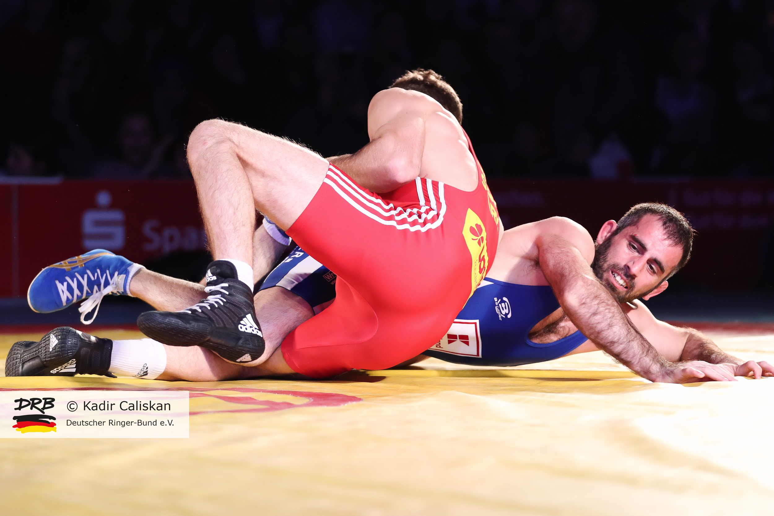 RINGEN – Deutsche Mannschaftsmeisterschaften 2018/19 – ASV Mainz 88 vs. Red Devils Heilbronn