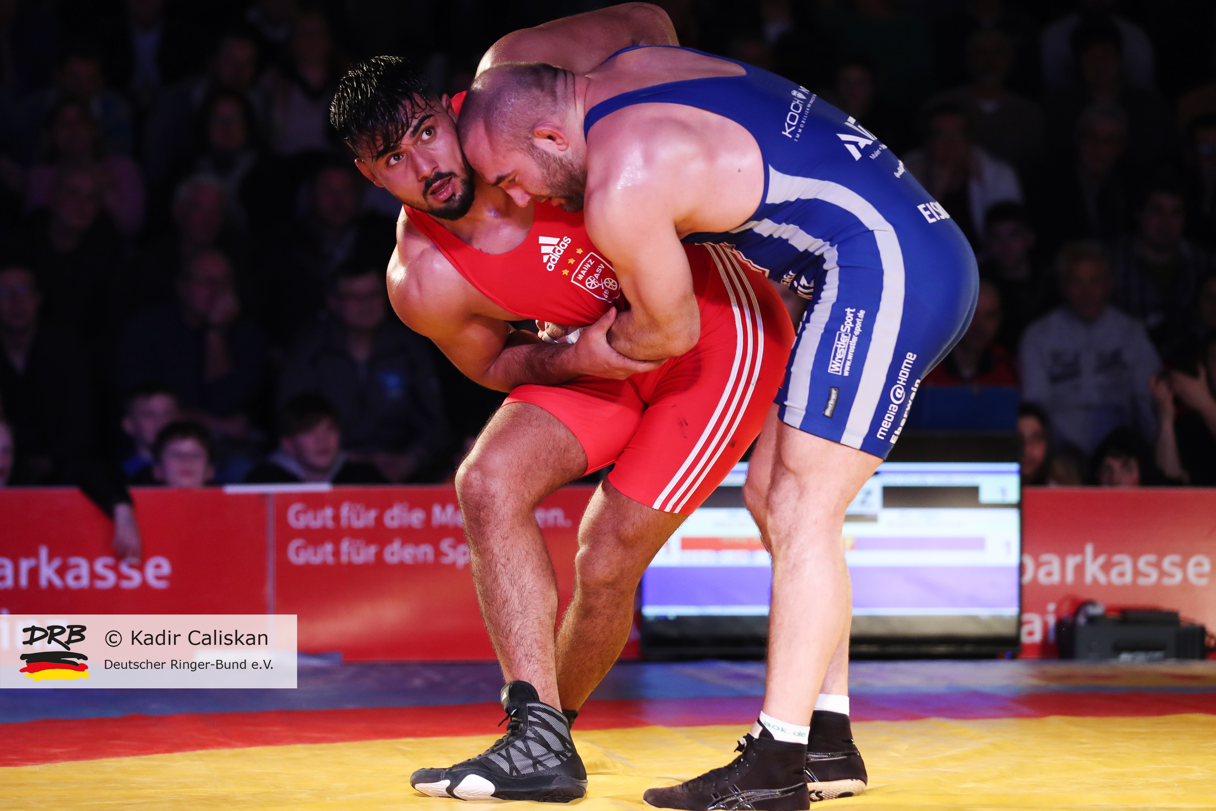 RINGEN – Deutsche Mannschaftsmeisterschaften 2018/19 – ASV Mainz 88 vs. Red Devils Heilbronn