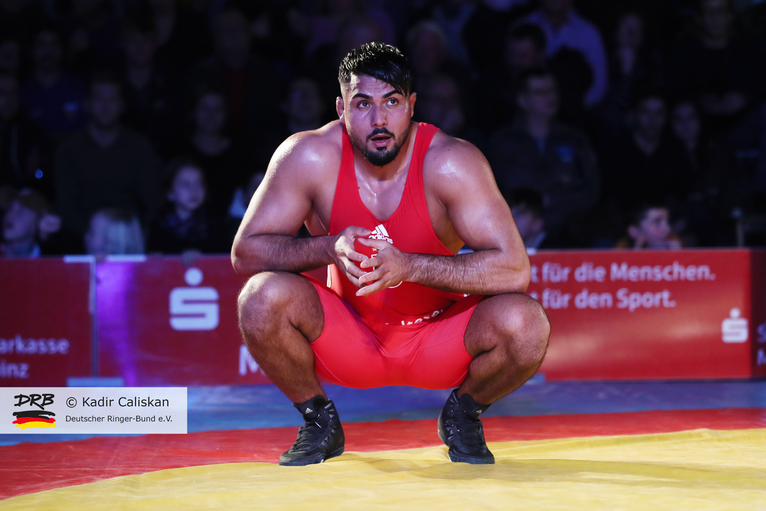 RINGEN – Deutsche Mannschaftsmeisterschaften 2018/19 – ASV Mainz 88 vs. Red Devils Heilbronn