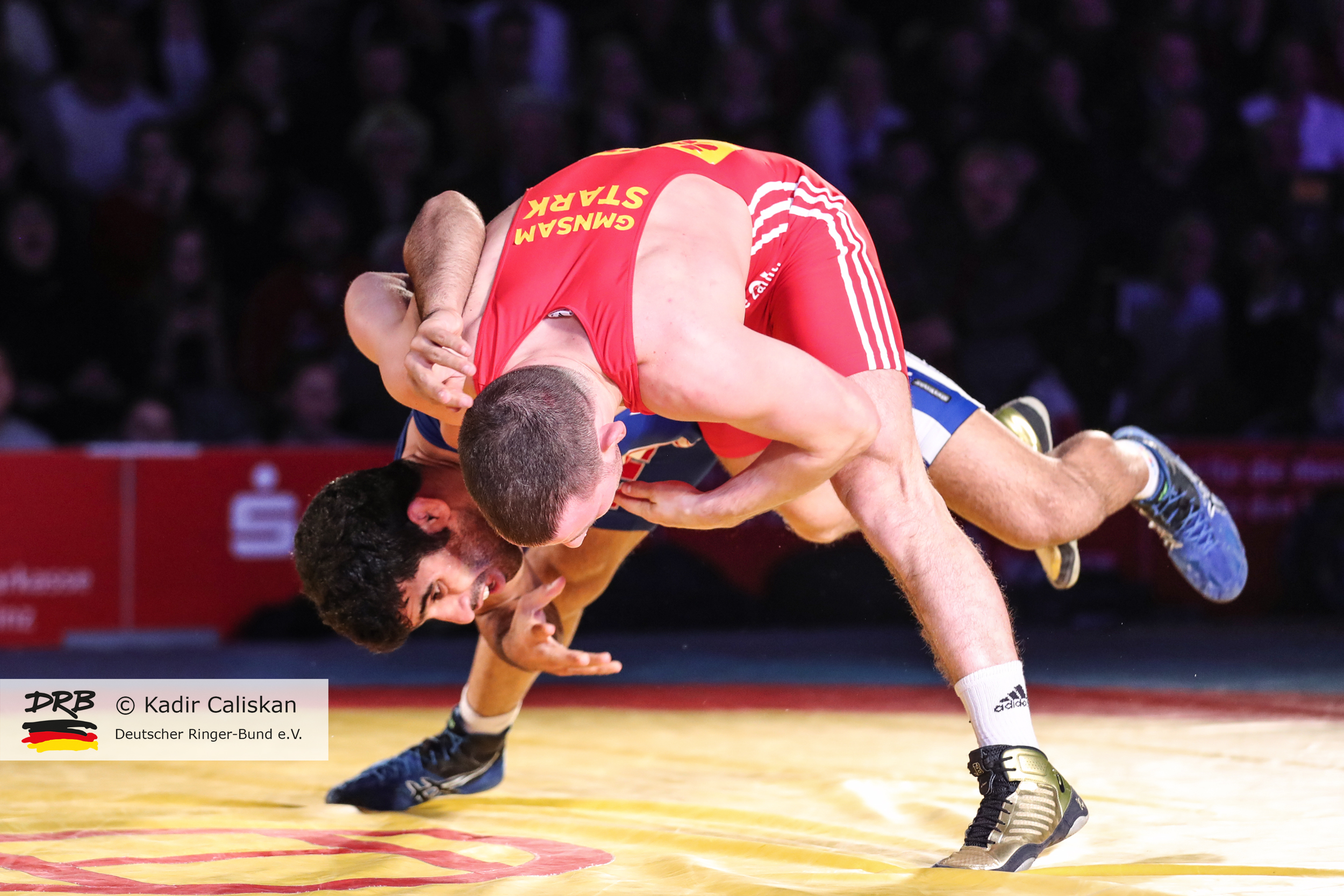 RINGEN – Deutsche Mannschaftsmeisterschaften 2018/19 – ASV Mainz 88 vs. Red Devils Heilbronn