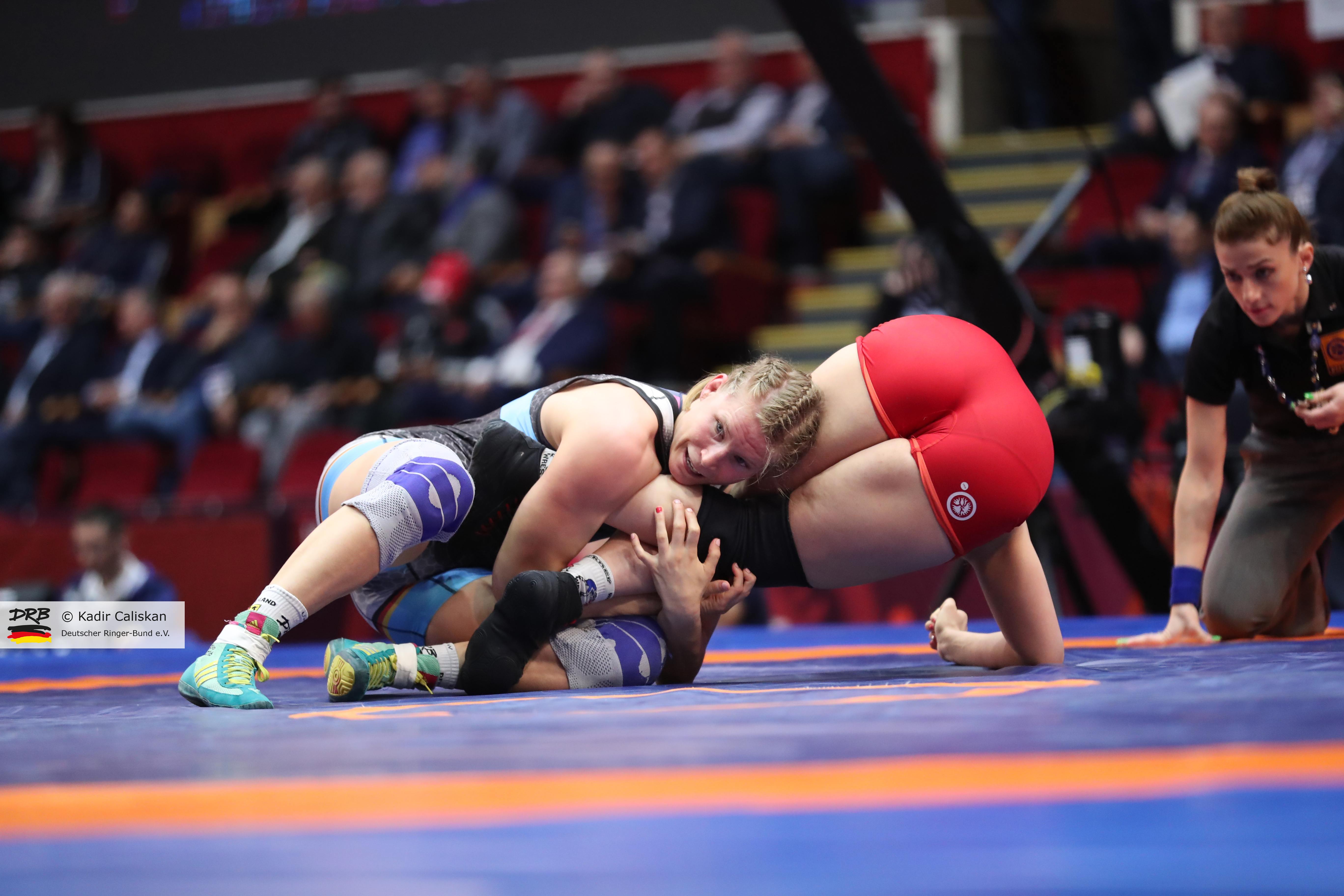 Wrestling European Championships 2019