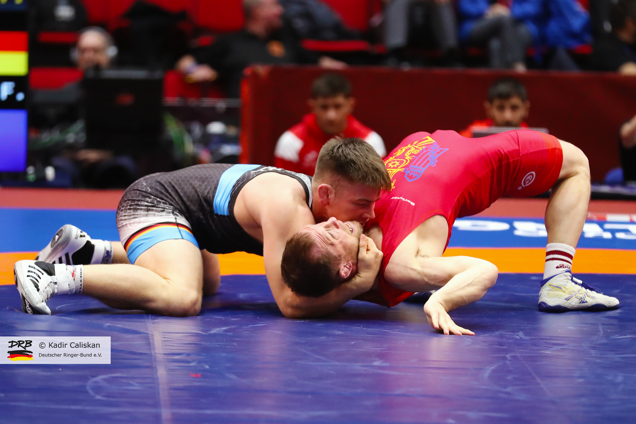 Wrestling European Championships 2019