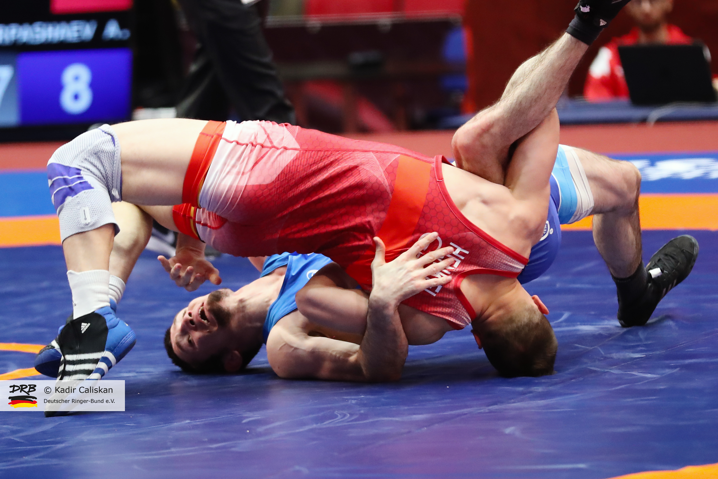 Wrestling European Championships 2019