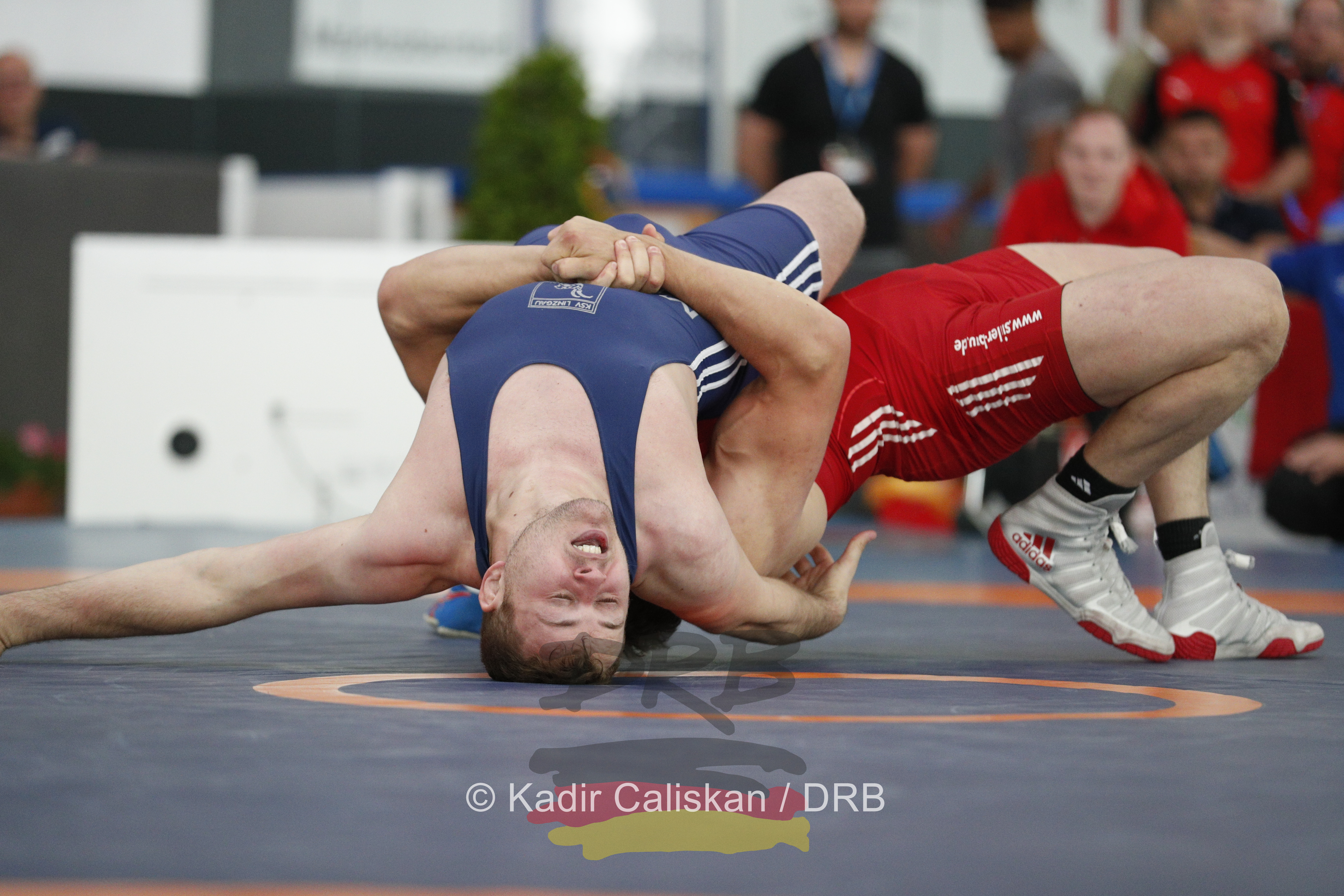 Deutsche Meisterschaften im Ringen 2019