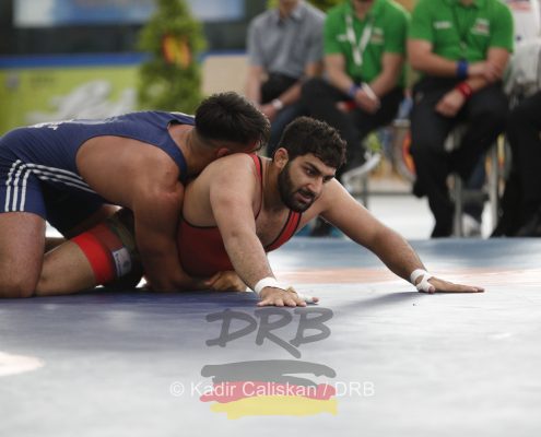 Deutsche Meisterschaften im Ringen 2019