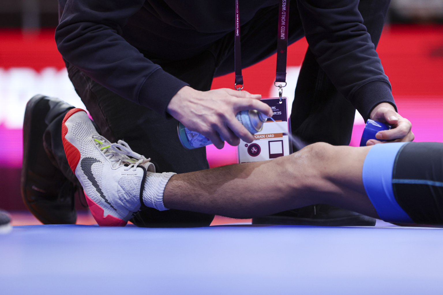 Wrestling European Championships 2025